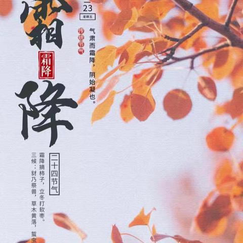 【识节气·知传统】时逢霜降至，童趣满深秋——任店镇中心幼儿园霜降主题活动