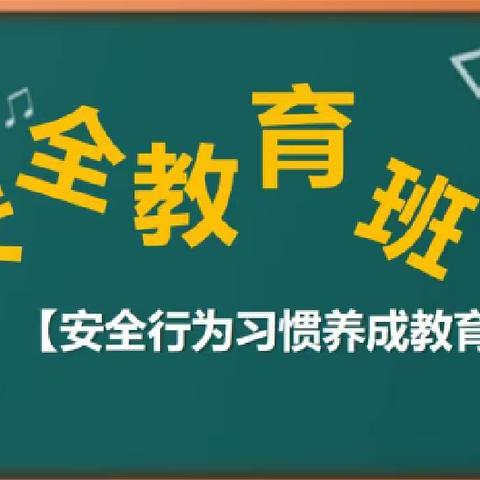 《我安全 我快乐》大地幼儿园大二班安全主题班会