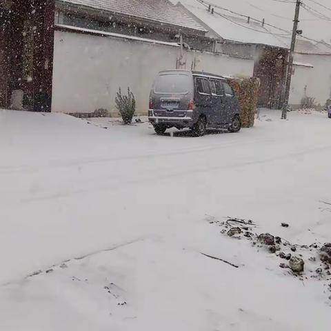 雷打雪