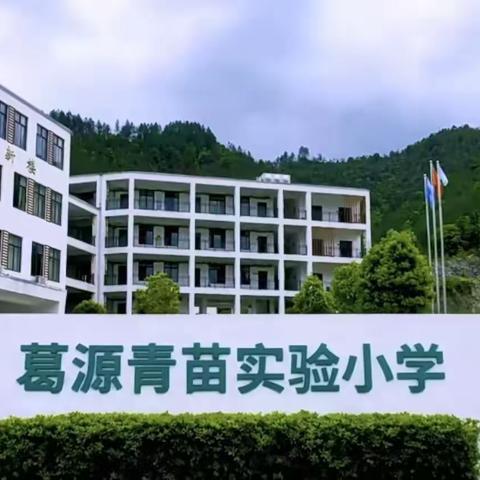 记葛源小学2023秋新教师考核工作