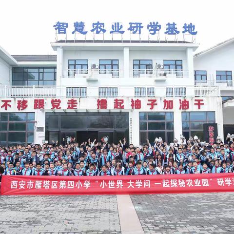 西安市雁塔区第四小学 “小世界 大学问 一起探秘农业园 ”泾河智慧农业园研学旅行活动纪实