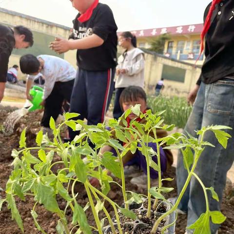 多彩社团，幸福校园——殷都区安丰乡北丰小学社团美篇