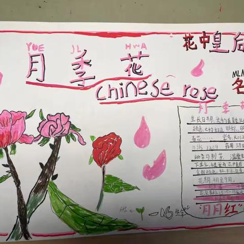 劳动教育|合肥市琥珀名城小学第二小学劳动实践基地名片“上线”啦