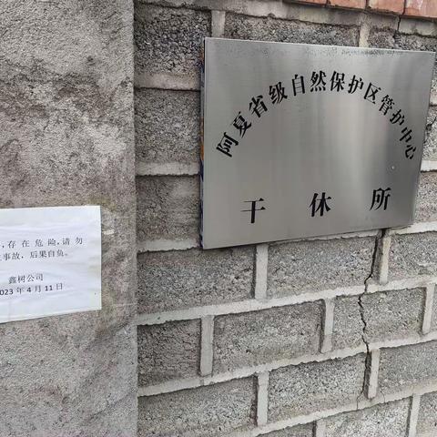 鑫树公司开展国家安全教育日活动