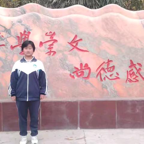 逐梦青春，熠熠生辉 ——2024-2025学年度临洮县第四中学“最美四中少年”推荐人九年级5班 李红怡