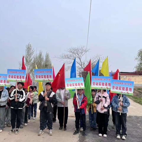 以劳树德，以劳育美——濮阳县白堽乡学生劳动教育实践基地实践纪实