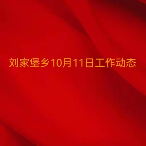 刘家堡乡10月11日工作动态