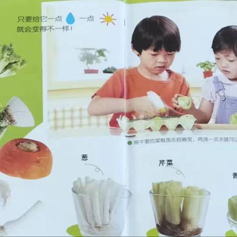 《盆栽大变身》课程活动——黄牌社区幼儿园大三班美篇