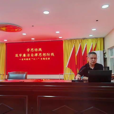 赓续红色血脉，凝聚奋进力量 --麦岭镇开展迎“七一”系列活动