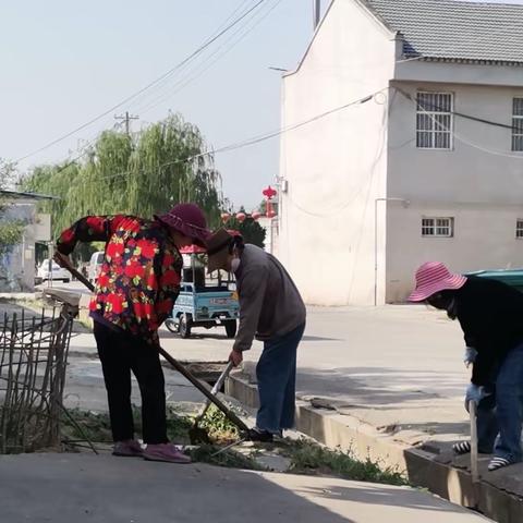 蔡坡村人居环境整治