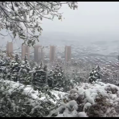 风雪弥漫处 扫雪暖意浓