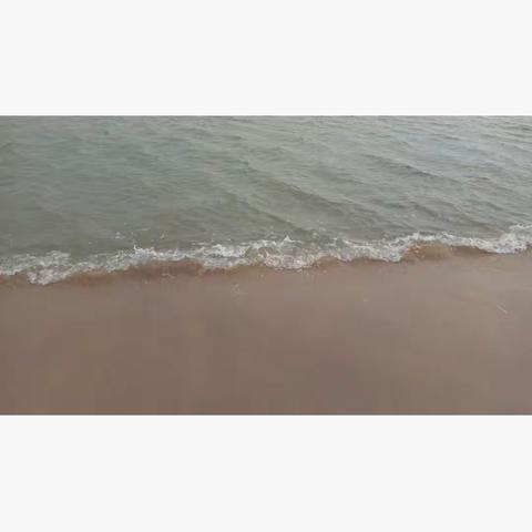 金明中学彭天宇——我的暑假旅行日记