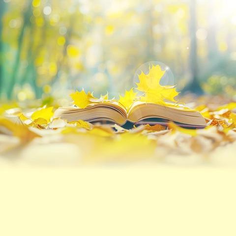 一起捡秋去，在自然中探索成长 ‍——六年级秋日研学活动