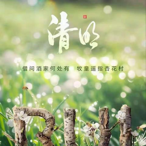 清明时节话清明---2.1班清明美篇