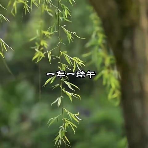 国网克州供电公司退休老同志的生活--端午节