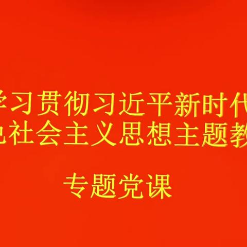 学习贯彻习近平新时代中国特色社会主义思想主题教育专题党课