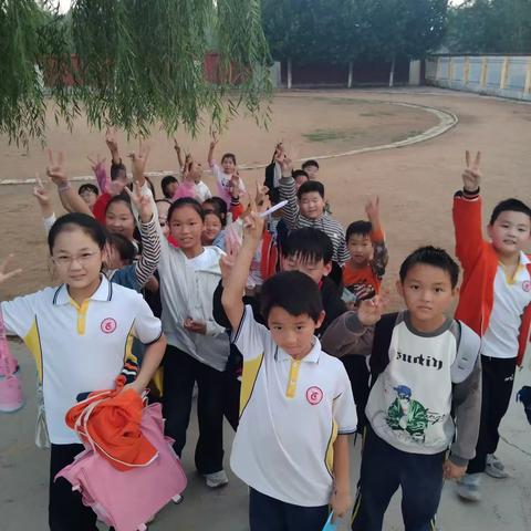 踞龙小学除草劳动 ﻿在实践中培育成长