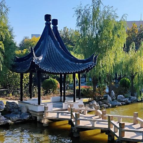 宿豫区实验初中党总支10月份党员活动日