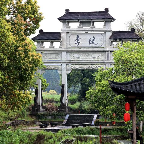 木梓的文章