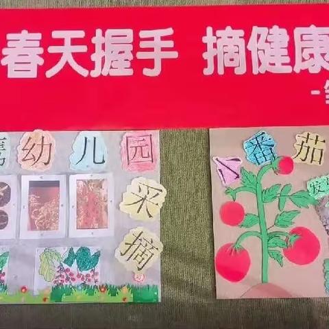 【雏鹰幼儿园】“与春天握手  摘健康果实”大二班户外采摘活动“一🍅 番正有你”