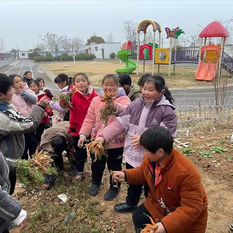 厚植劳动情怀 新年收获成长 ——五河县申集镇家乐福希望小学开展新年劳动教育活动