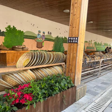 悠悠茶香韵 醉美茶乡行——记2023.4.14湄潭北纬27度茶海基地研学实践活动