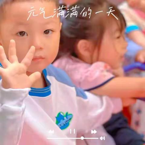 毅南幼儿园小段第8周知识反馈⭐