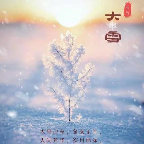 🌟🌟向阳班第十三周总结❄️❄️