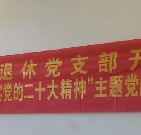 灵山镇退休党支部开展“学习贯彻落实党的二十大精神”主题党日活动