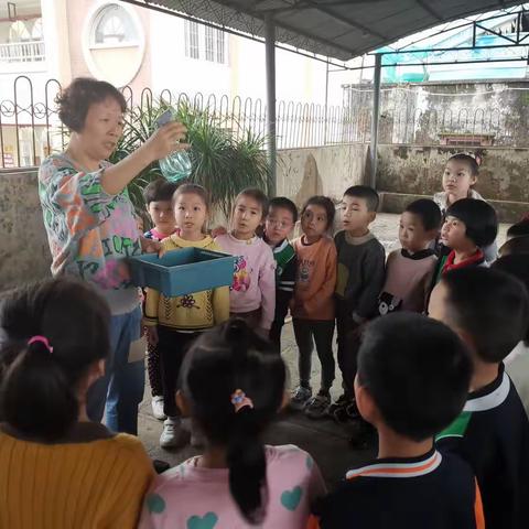 春天是万物复苏，生气勃勃的季节，遂溪县第一幼儿园大B3班全体师生乘着春风，努力编织着心中的植物园……