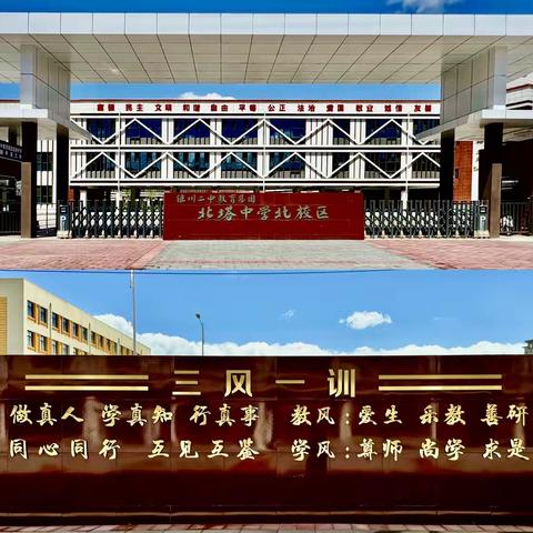 13的文章