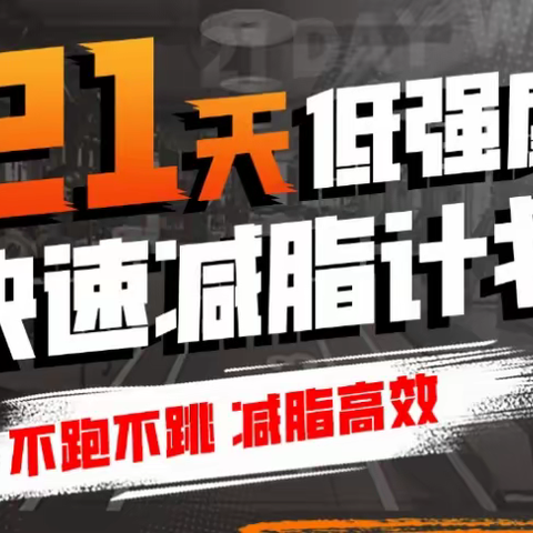 猫叔慢跑：21天低强度无跑跳高效减脂[有课分享]