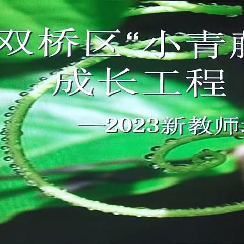 双桥区“小青藤”成长工程暨——2023年新入职教师培训（二）