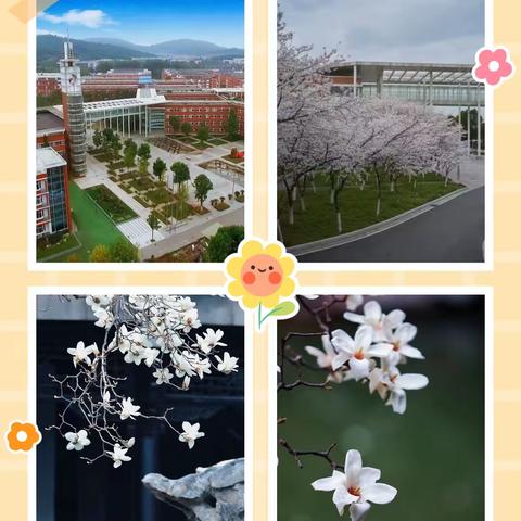 春暖花开，心情对话正当时