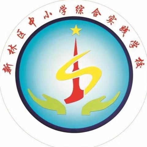 美在指尖  爱在心中——新林区中小学综合实践学校丝网花创作与研学活动纪实