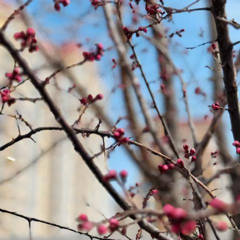 “悦”读好时光 书香润童年📖——伊金霍洛旗金湖幼儿园爱尚小三班第七周小记