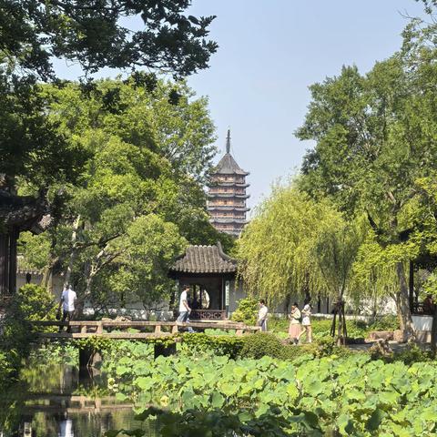 拙政园与苏州博物馆：江南园林与现代设计的双璧 ——2025闺蜜苏杭行（2）