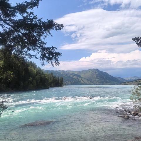 奔赴山海，辽阔新疆（4） ———诗画仙境喀纳斯