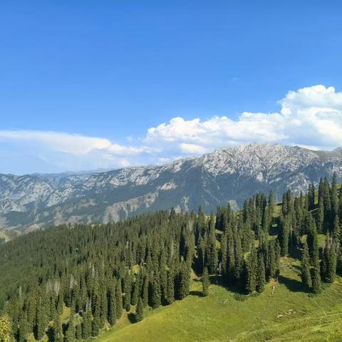 奔赴山海，辽阔新疆（6）——翡翠夏塔、八卦城特克斯、库尔德宁