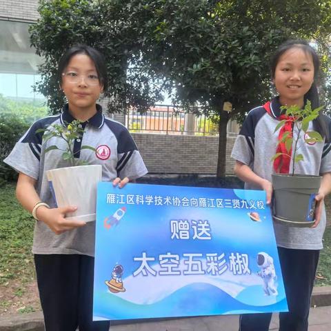 星空下的绿与红：三贤5.6班太空椒成长记