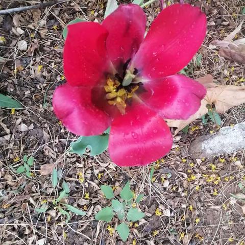 心里没事，每一脚下去都是春天……