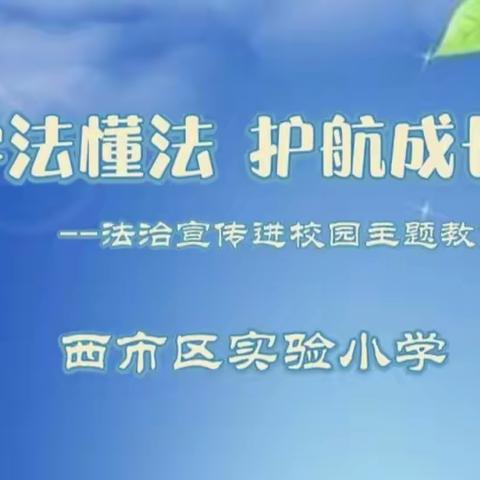 学法懂法 护航成长