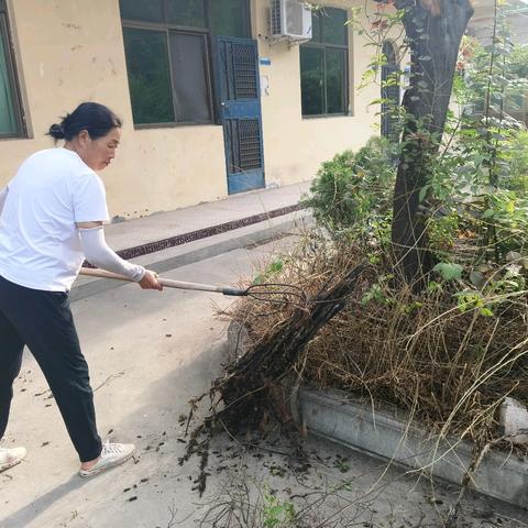 丁村周六人居环境整治