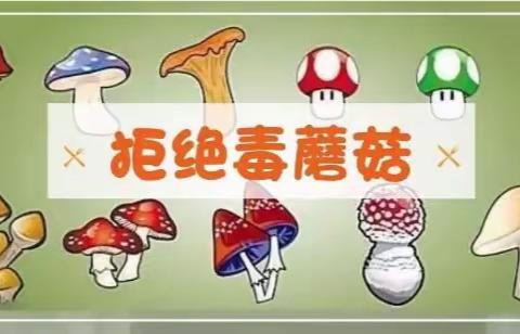 【食品安全】珍爱生命，远离毒蘑菇——湘乡一职预防野生蘑菇中毒知识宣传