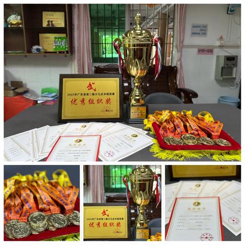 喜报！——东莞市东城区光明幼儿园获得2025年广东省第二届少儿武术精英赛一等奖