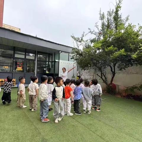 幼儿园生活化课程的再学习和思考🤔