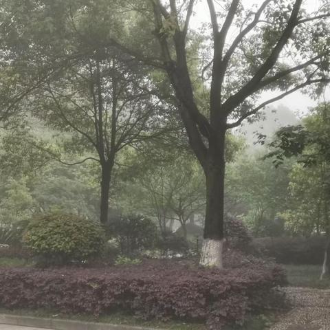 湘南中学高二年级韶山研学红色之旅纪实