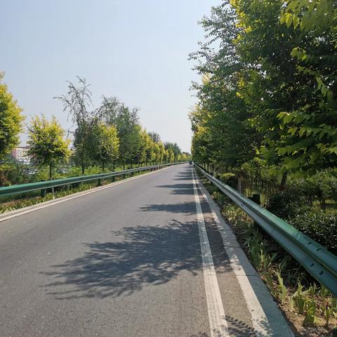 市局地方道路管理处对魏县市美丽农村路和拟创建省精品示范路及示范乡镇工作进行验收核查