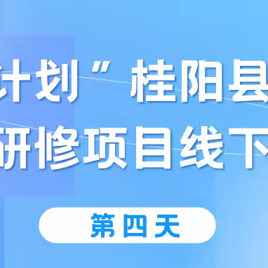 国培绽放，桃李芬芳——2024“国培计划”(C1031）桂阳县教师培训师线下集中培训第四天纪实