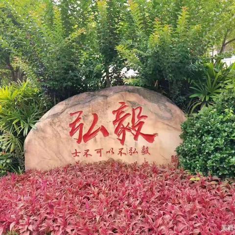 音乐启蒙，叩响艺术之门—陈毅希望学校2024年秋季基地培训班尤克里里纪实
